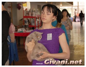 Cats Shows Photo • Выставки кошек - Cats Show • May, 2010 • Роландус • Донецк - 030