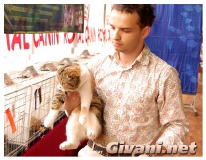 Cats Shows Photo • Выставки кошек - Cats Show • May, 2010 • Роландус • Донецк - 031