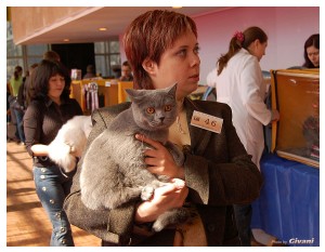 Cats Shows Photo • Выставки кошек - Cats Show • March, 2010 • Донецк - 058