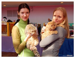 Cats Shows Photo • Выставки кошек - Cats Show • March, 2010 • Донецк - 080