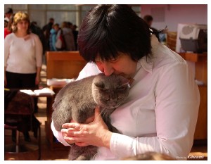 Cats Shows Photo • Выставки кошек - Cats Show • March, 2010 • Донецк - 100