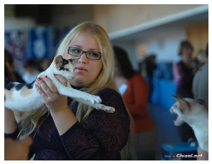 Cats Shows Photo • Выставки кошек - November, 2010 • Кубок Hill's • Донецк - 075