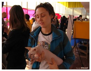 Cats Shows Photo • Выставки кошек - Cats Show • March, 2010 • Донецк - 129
