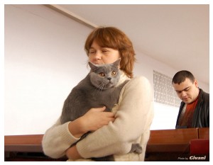 Cats Shows Photo • Выставки кошек - Cats Show • March, 2010 • Донецк - 443