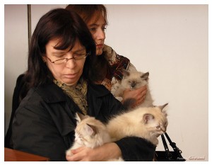 Cats Shows Photo • Выставки кошек - Cats Show • March, 2010 • Донецк - 489